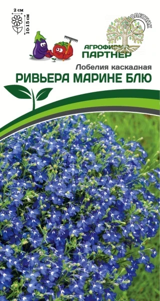Лобелия каскадная РИВЬЕРА МАРИНЕ БЛЮ ^(10шт в амп)